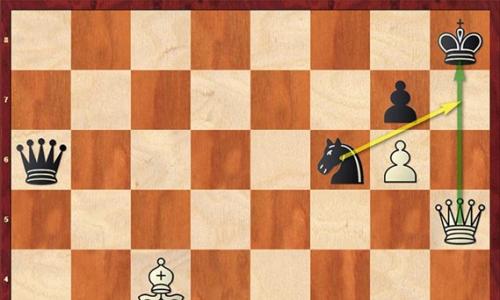 Обучение шахматам для начинающих – скачать